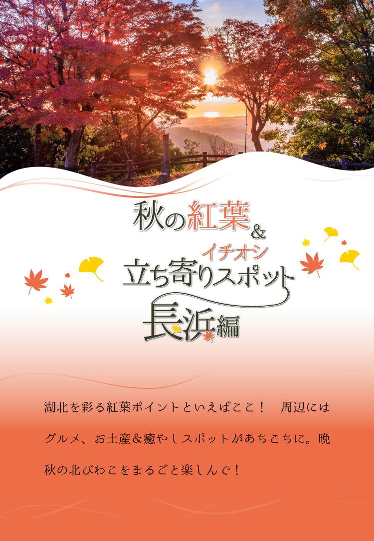 秋の紅葉＆イチオシ立ち寄りスポット【長浜編】