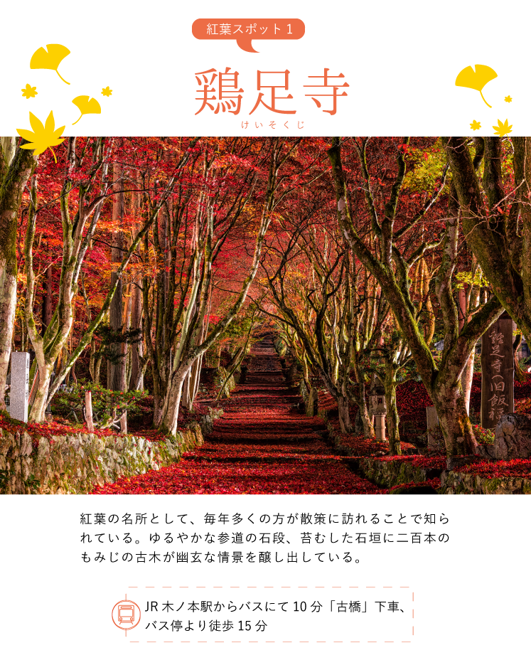 紅葉スポット1 鶏足寺