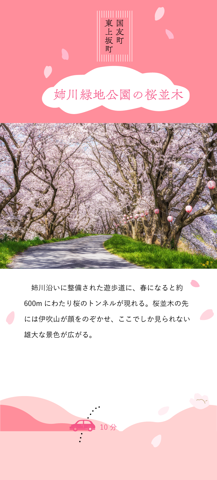 国友町 姉川堤の桜並