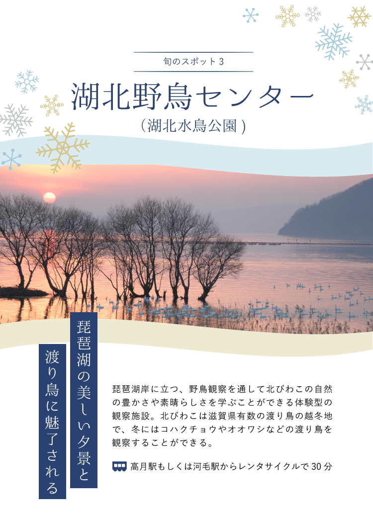 旬のスポット3 湖北野鳥センター